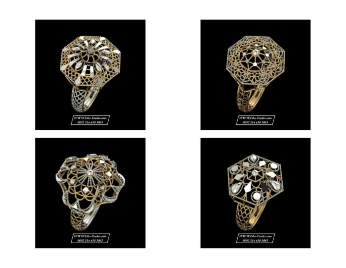 PM 11 Ladies Rings STL Lot 2 2