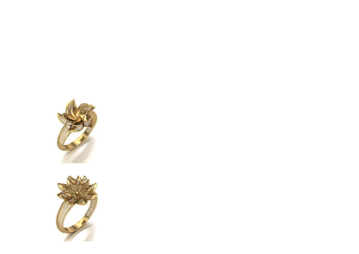 20 Turkish Ring 3 e1759323657903